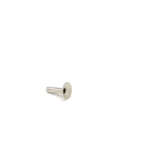 Brass Rivet