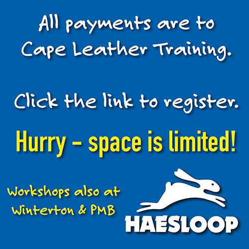 Haesloop Agencies